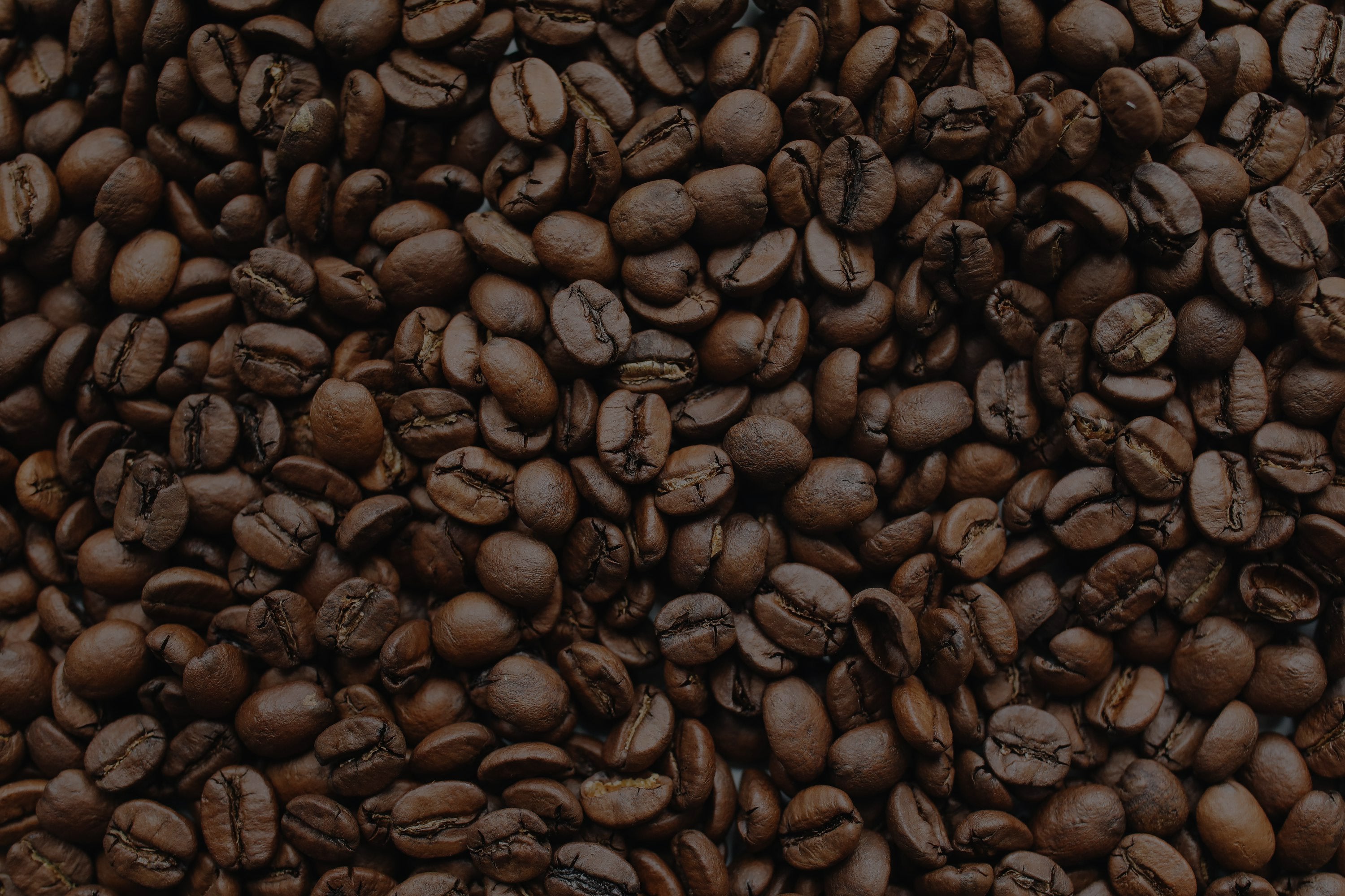 Caffé Milani grani