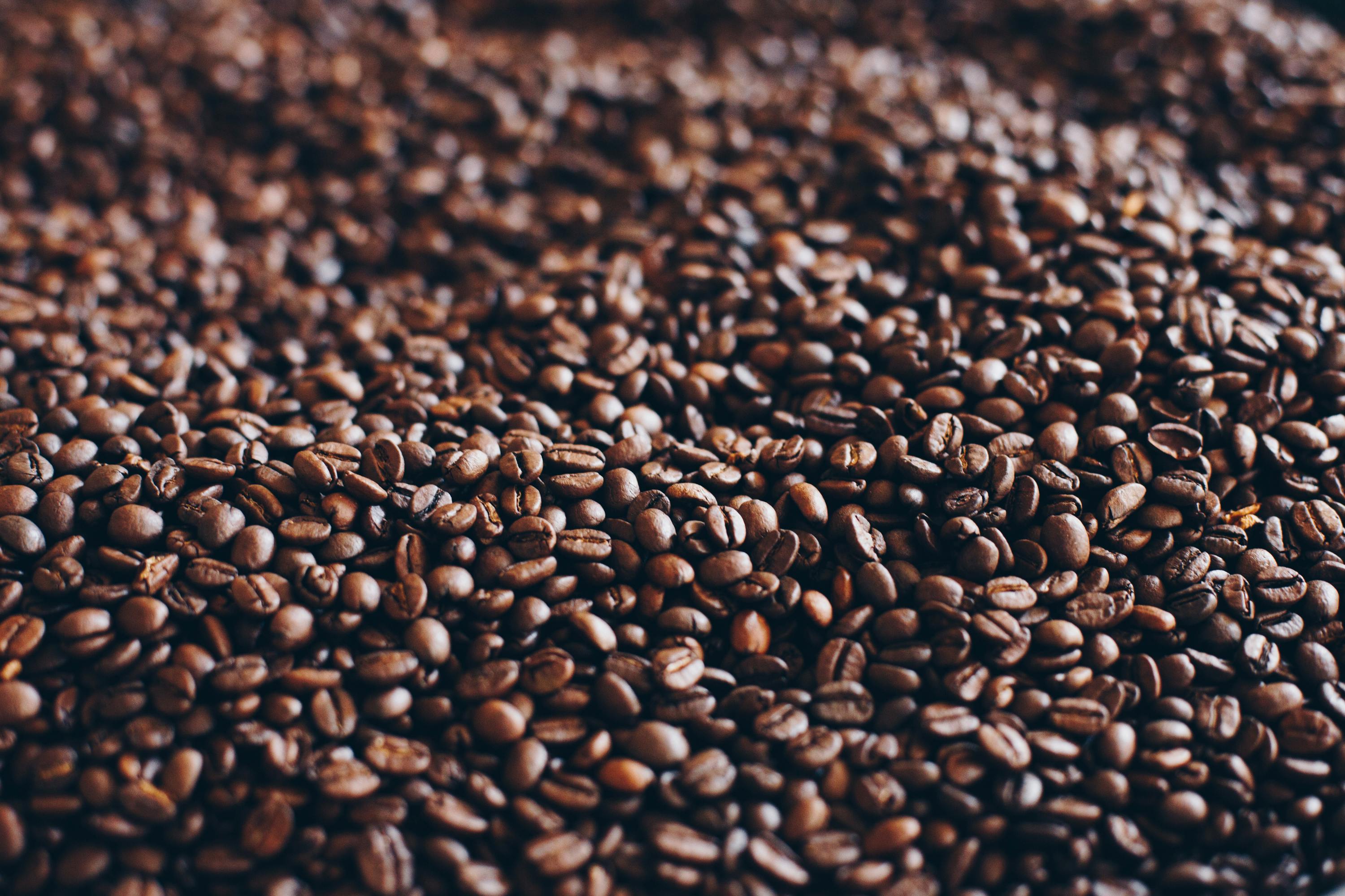 Chicchi di Caffé Milani tostati