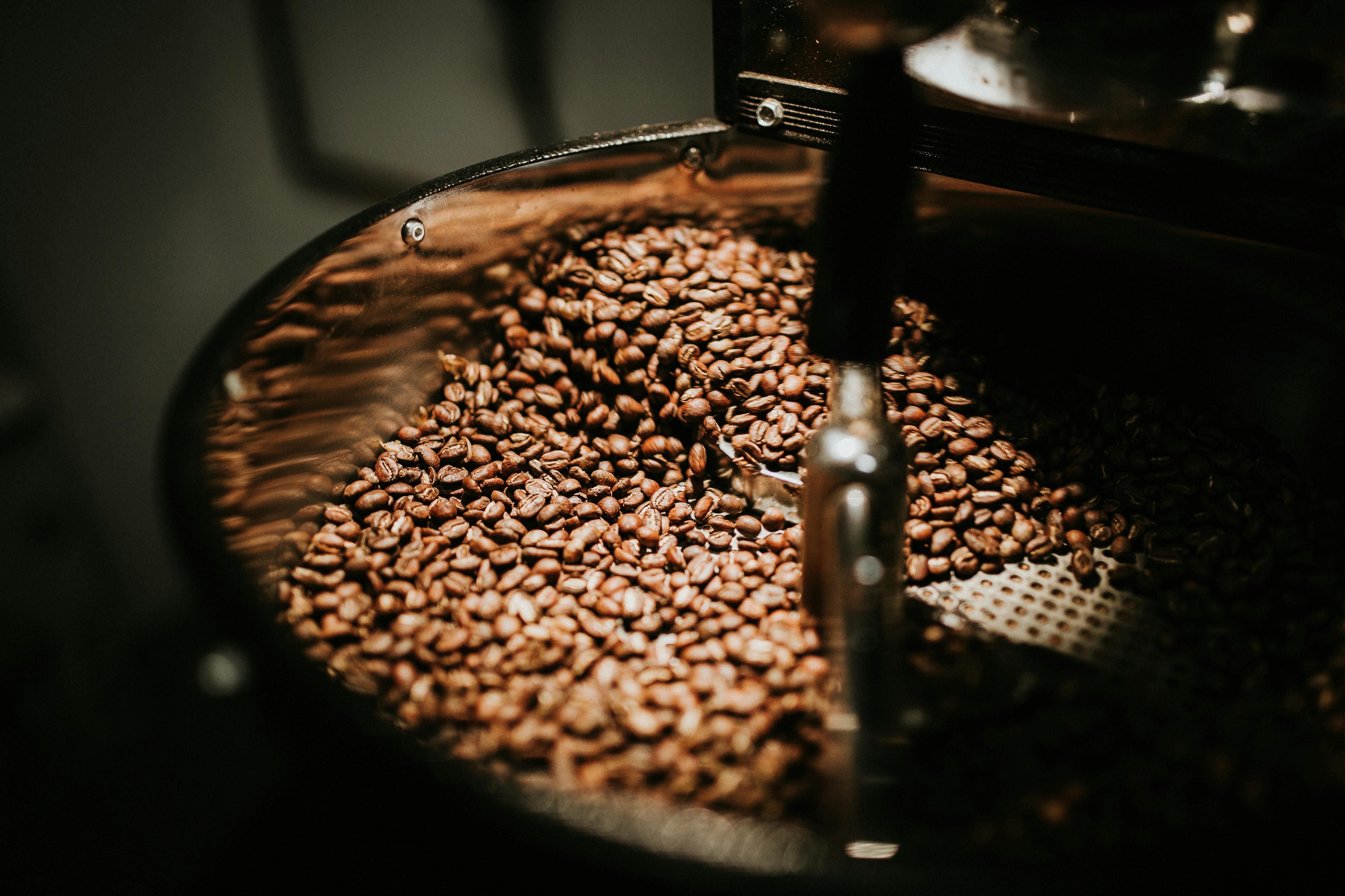 chicchi di caffè in grani Caffé Milani 